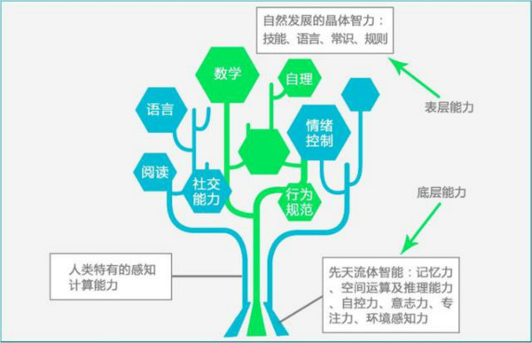 自閉癥治療方法ABA會被認(rèn)知神經(jīng)科學(xué)替代嗎？