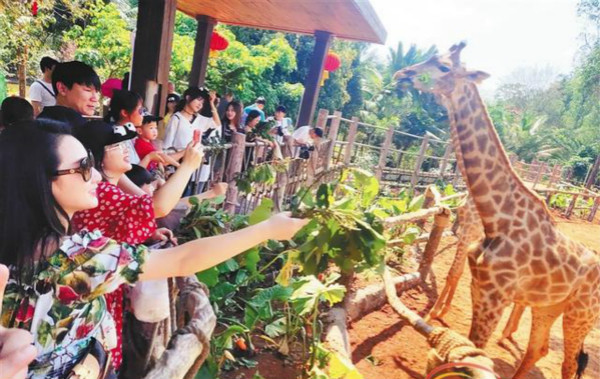 征集10組家庭，與自閉癥家庭共赴海南熱帶野生動植物園活動！