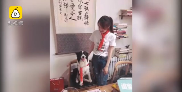 漫畫自閉癥：沈陽自閉癥治療犬走失