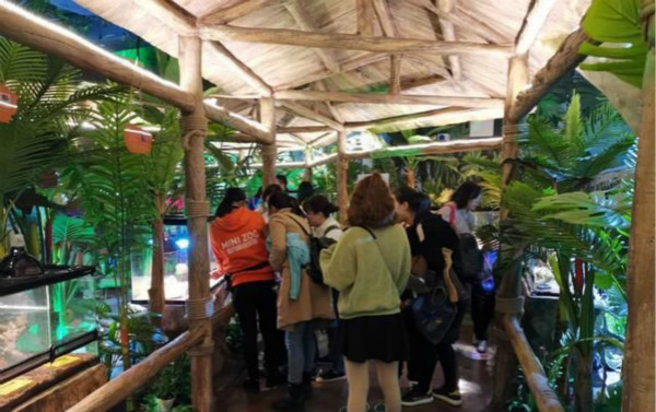 南昌自閉癥兒童走進(jìn)Minizoo室內(nèi)萌寵樂園