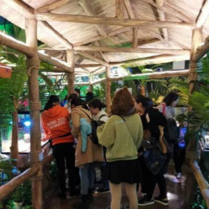 南昌自閉癥兒童走進Minizoo室內萌寵樂園