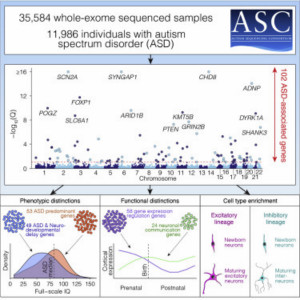 國外研究人員發(fā)現(xiàn)102個自閉癥相關基因