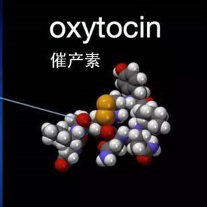 自閉癥藥物治療最新研究：催產(chǎn)素或可恢復社會行為