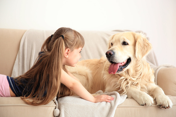 自閉癥治療犬品種有哪些？