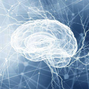 Nature最新研究：不同自閉癥風(fēng)險(xiǎn)基因?qū)Υ竽X發(fā)育影響相同