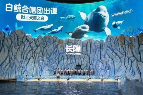 世界鯨魚日，珠海長隆白鯨為“星星的孩子”開唱