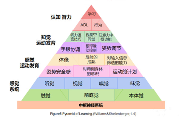 自閉癥兒童感覺統(tǒng)合失調(diào)的原因