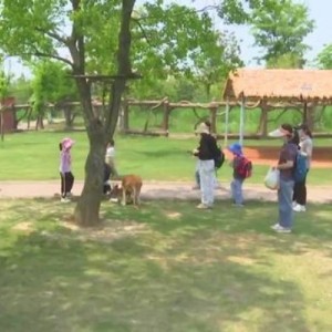 自閉癥親子家庭走進(jìn)南通森林動物園