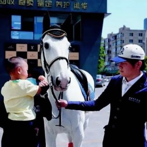 “馬醫(yī)生”和“汪醫(yī)生”為大連自閉癥兒童療愈