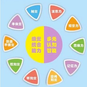 自閉癥兒童有哪些感覺統(tǒng)合失調(diào)的表現(xiàn)（三）