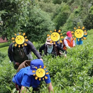 上?！靶乔嗄?，向未來”項目幫助孤獨癥青年融入社會